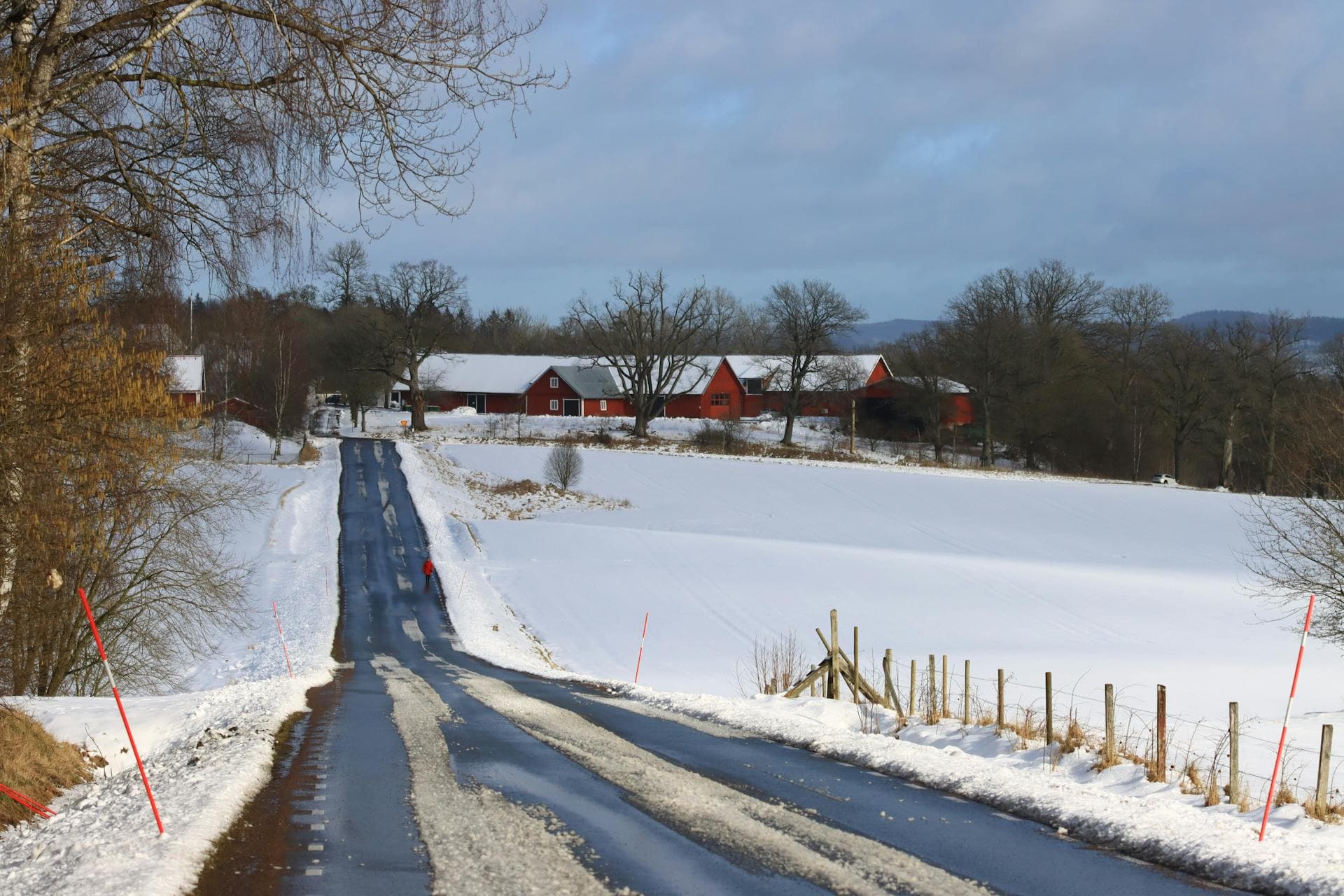 Kall snö och vinterväg i naturen